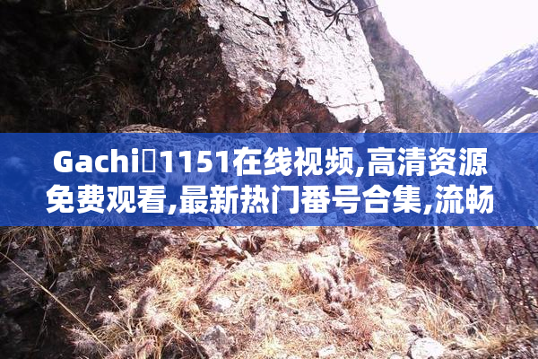 Gachi蘭1151在线视频,高清资源免费观看,最新热门番号合集,流畅