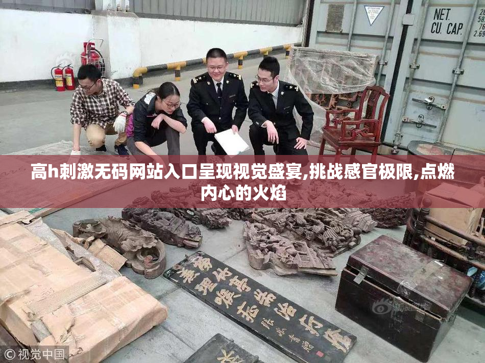 高h刺激无码网站入口呈现视觉盛宴,挑战感官极限,点燃内心的火焰