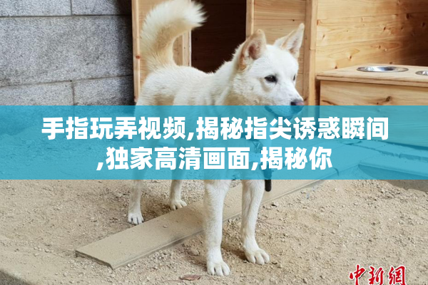 手指玩弄视频,揭秘指尖诱惑瞬间,独家高清画面,揭秘你