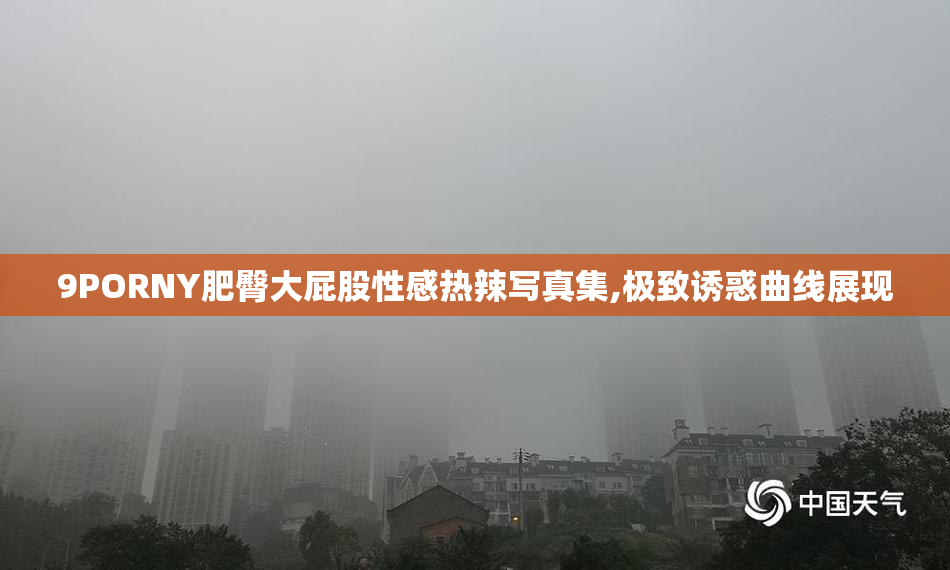 9PORNY肥臀大屁股性感热辣写真集,极致诱惑曲线展现