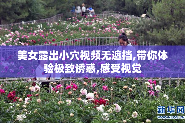 美女露出小穴视频无遮挡,带你体验极致诱惑,感受视觉