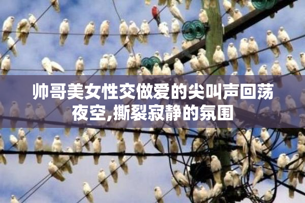 帅哥美女性交做爱的尖叫声回荡夜空,撕裂寂静的氛围
