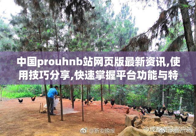 中国prouhnb站网页版最新资讯,使用技巧分享,快速掌握平台功能与特色
