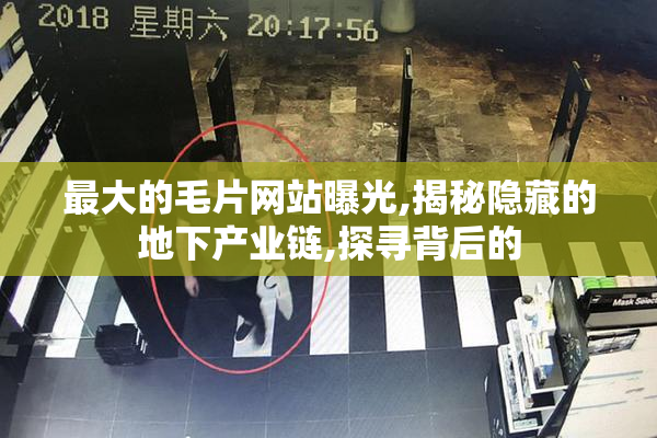 最大的毛片网站曝光,揭秘隐藏的地下产业链,探寻背后的