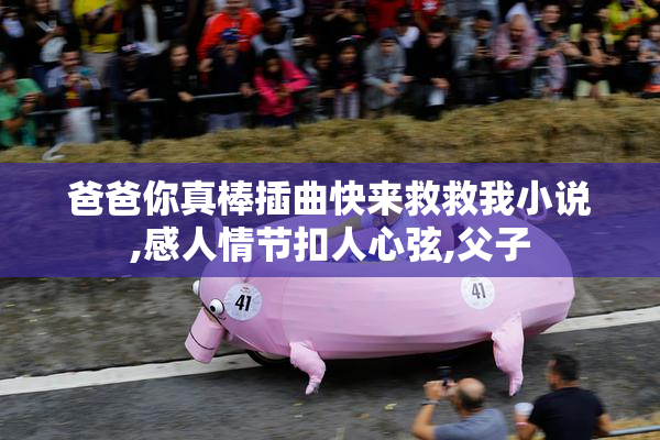 爸爸你真棒插曲快来救救我小说,感人情节扣人心弦,父子