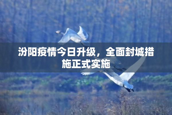 汾阳疫情今日升级，全面封城措施正式实施