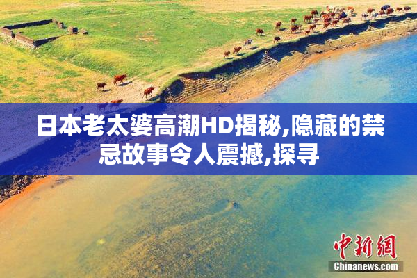 日本老太婆高潮HD揭秘,隐藏的禁忌故事令人震撼,探寻