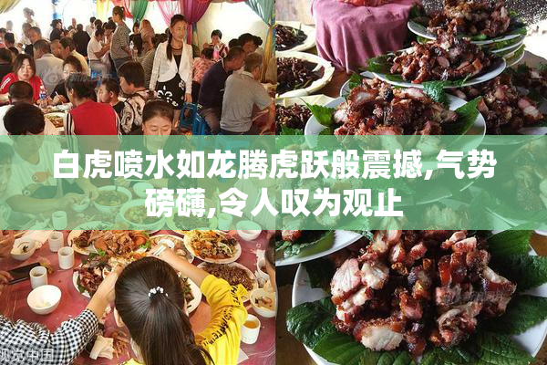 白虎喷水如龙腾虎跃般震撼,气势磅礴,令人叹为观止