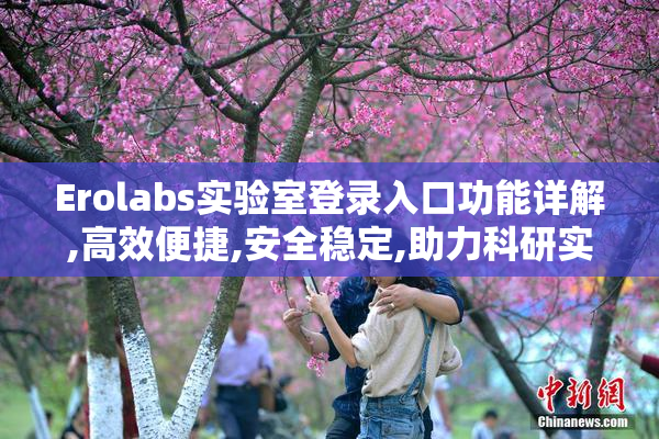 Erolabs实验室登录入口功能详解,高效便捷,安全稳定,助力科研实验
