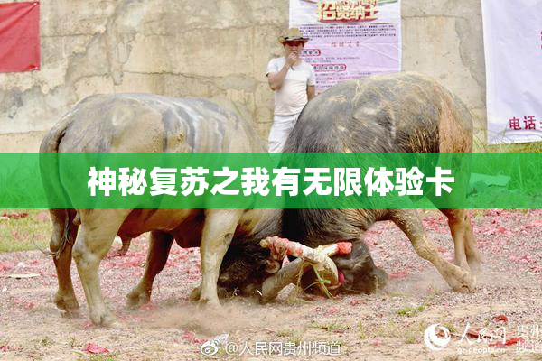 神秘复苏之我有无限体验卡