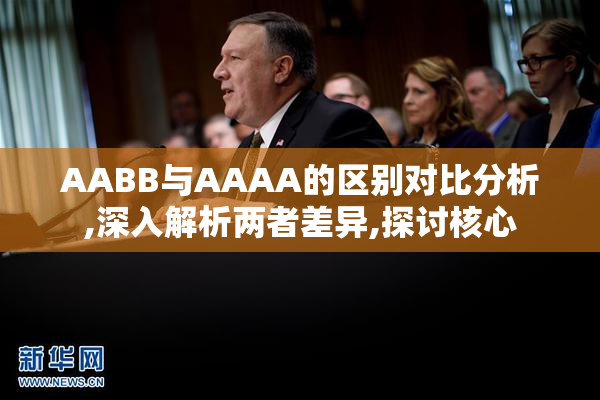 AABB与AAAA的区别对比分析,深入解析两者差异,探讨核心