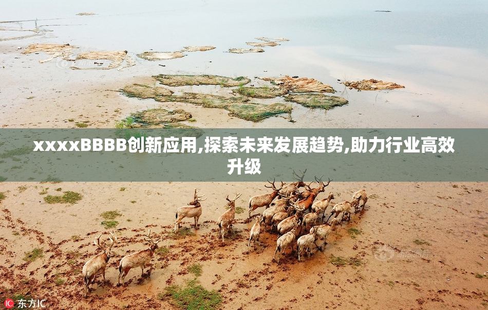 xxxxBBBB创新应用,探索未来发展趋势,助力行业高效升级