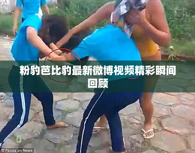 粉豹芭比豹最新微博视频精彩瞬间回顾