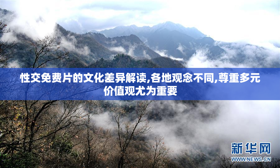 性交免费片的文化差异解读,各地观念不同,尊重多元价值观尤为重要
