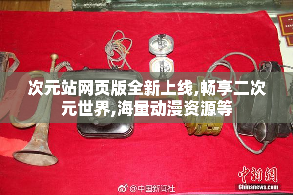 次元站网页版全新上线,畅享二次元世界,海量动漫资源等