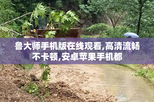 鲁**手机版在线观看,高清流畅不卡顿,安卓苹果手机都