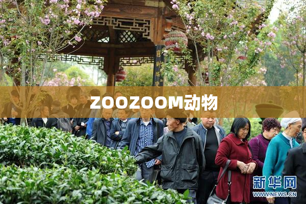 ZOOZOOM动物