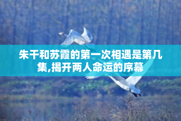 朱干和苏霞的第一次相遇是第几集,揭开两人命运的序幕