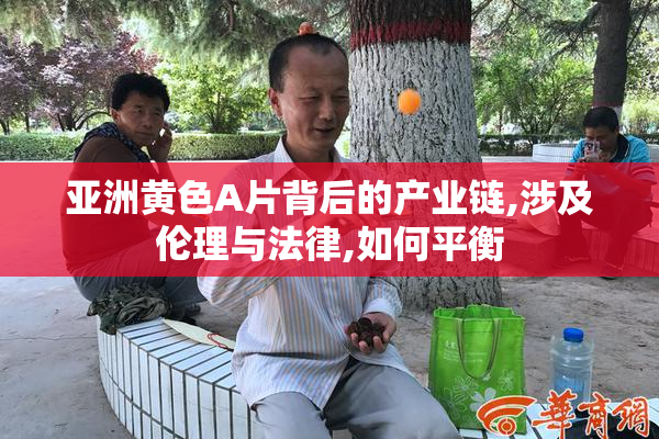 亚洲黄色A片背后的产业链,涉及伦理与法律,如何平衡