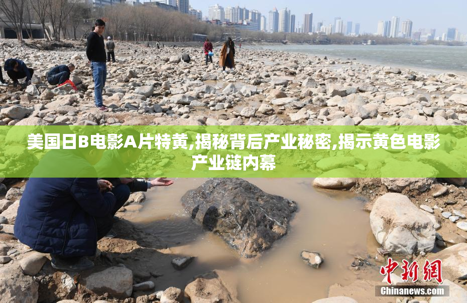 美国日B电影A片特黄,揭秘背后产业秘密,揭示黄色电影产业链内幕