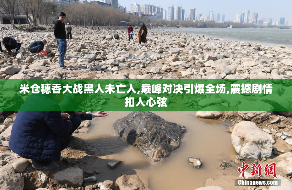 米仓穗香大战黑人未亡人,巅峰对决引爆全场,震撼剧情扣人心弦