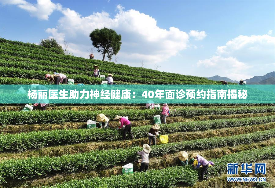 杨丽医生助力神经健康：40年面诊预约指南揭秘