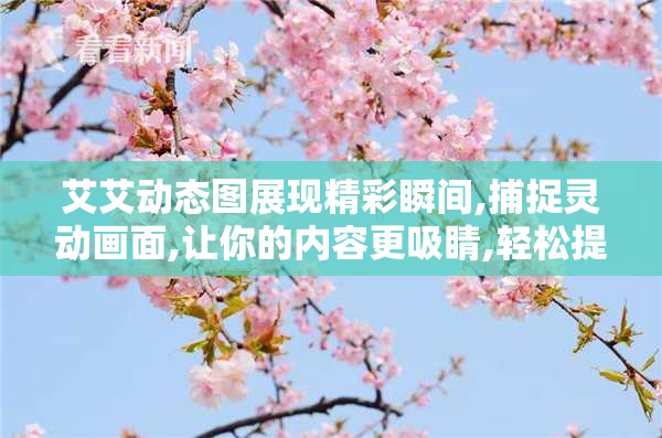 艾艾动态图展现精彩瞬间,捕捉灵动画面,让你的内容更吸睛,轻松提升