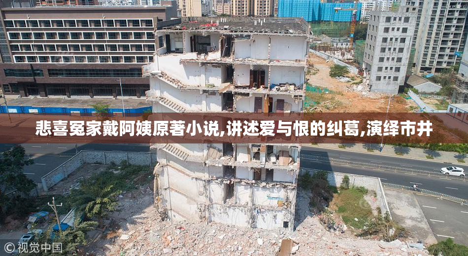 悲喜冤家戴阿姨原著小说,讲述爱与恨的纠葛,演绎市井