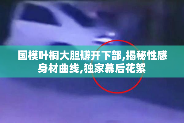 国模叶桐大胆瓣开下部,揭秘性感身材曲线,独家幕后花絮