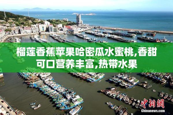 榴莲香蕉苹果哈密瓜水蜜桃,香甜可口营养丰富,热带水果