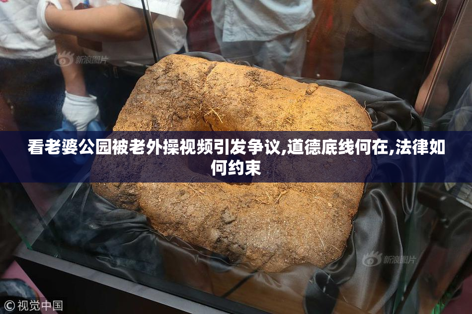 看老婆公园被老外操视频引发争议,道德底线何在,法律如何约束