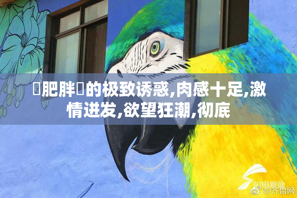 肏肥胖屄的极致诱惑,肉感十足,激情迸发,欲望狂潮,彻底