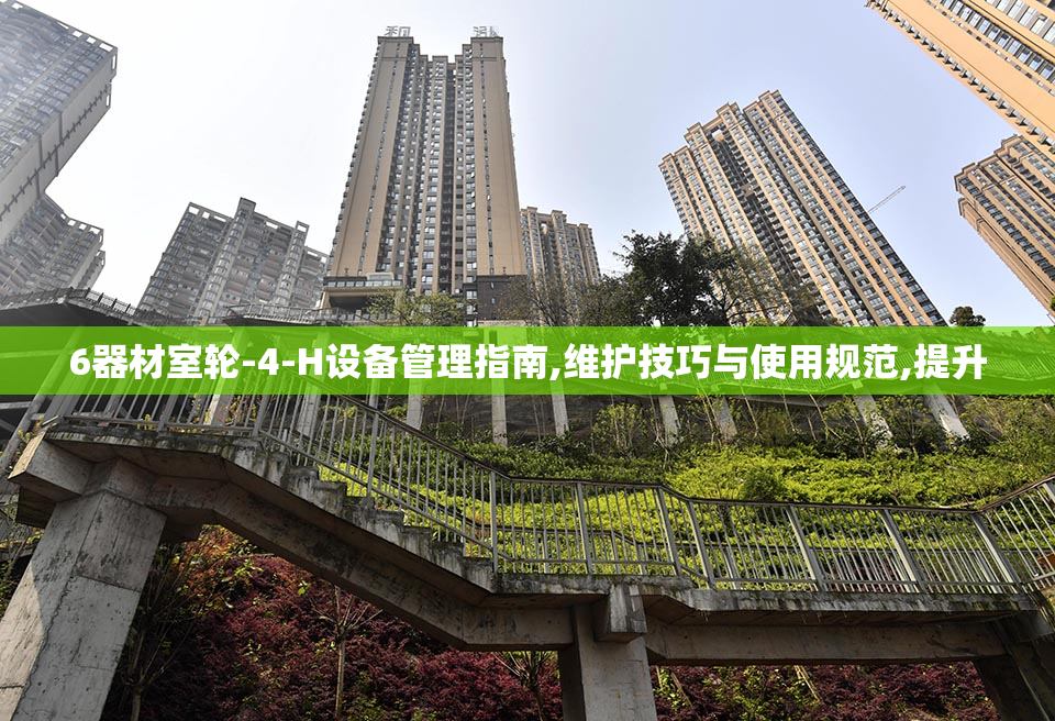 6器材室轮-4-H设备管理指南,维护技巧与使用规范,提升
