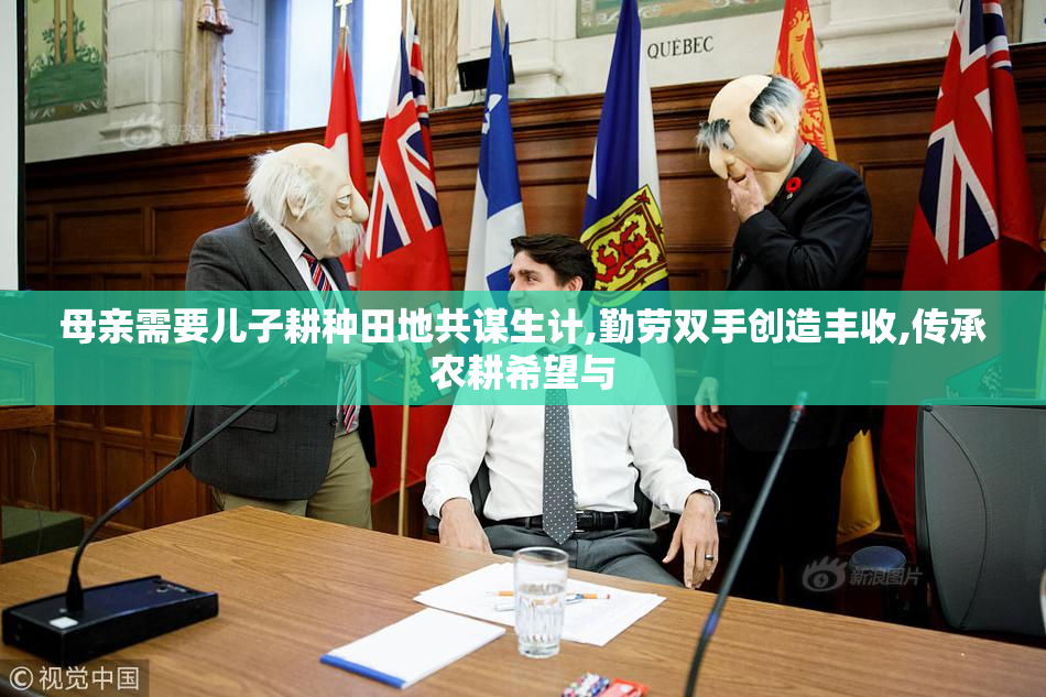 母亲需要儿子耕种田地共谋生计,勤劳双手创造丰收,传承农耕希望与