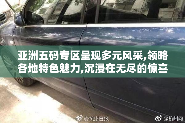 亚洲五码专区呈现多元风采,领略各地特色魅力,沉浸在无尽的惊喜之