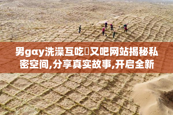 男gαy洗澡互吃鳮又吧网站揭秘私密空间,分享真实故事,开启全新