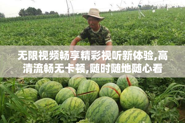 无限视频畅享精彩视听新体验,高清流畅无卡顿,随时随地随心看