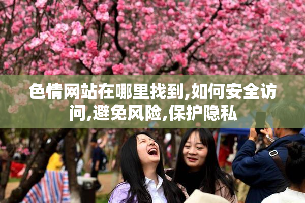 色情网站在哪里找到,如何安全访问,避免风险,保护隐私