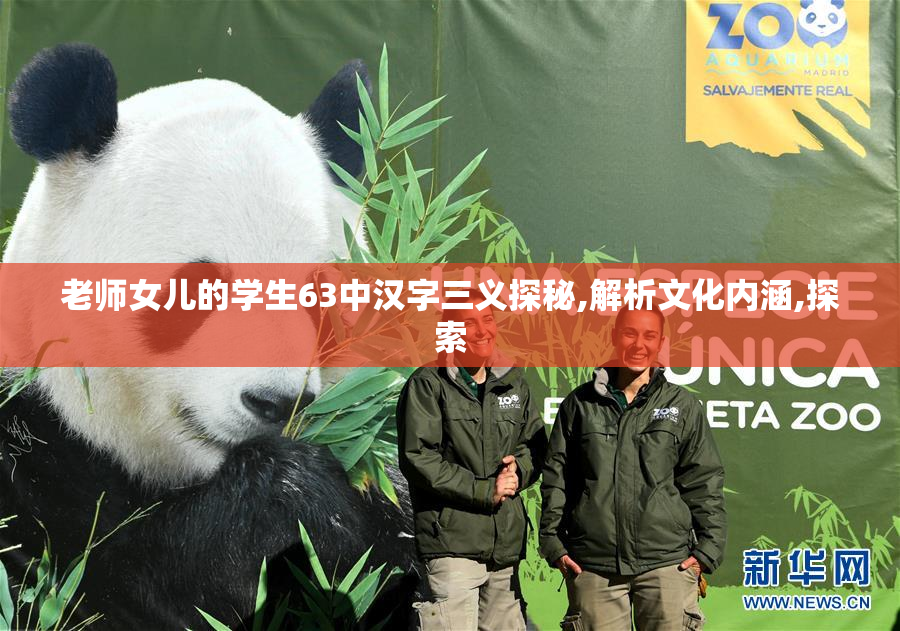 老师女儿的学生63中汉字三义探秘,解析文化内涵,探索