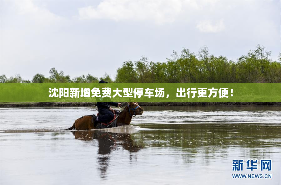 沈阳新增免费大型停车场，出行更方便！