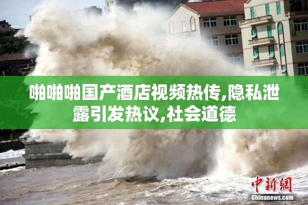 啪啪啪国产酒店视频热传,隐私泄露引发热议,社会道德