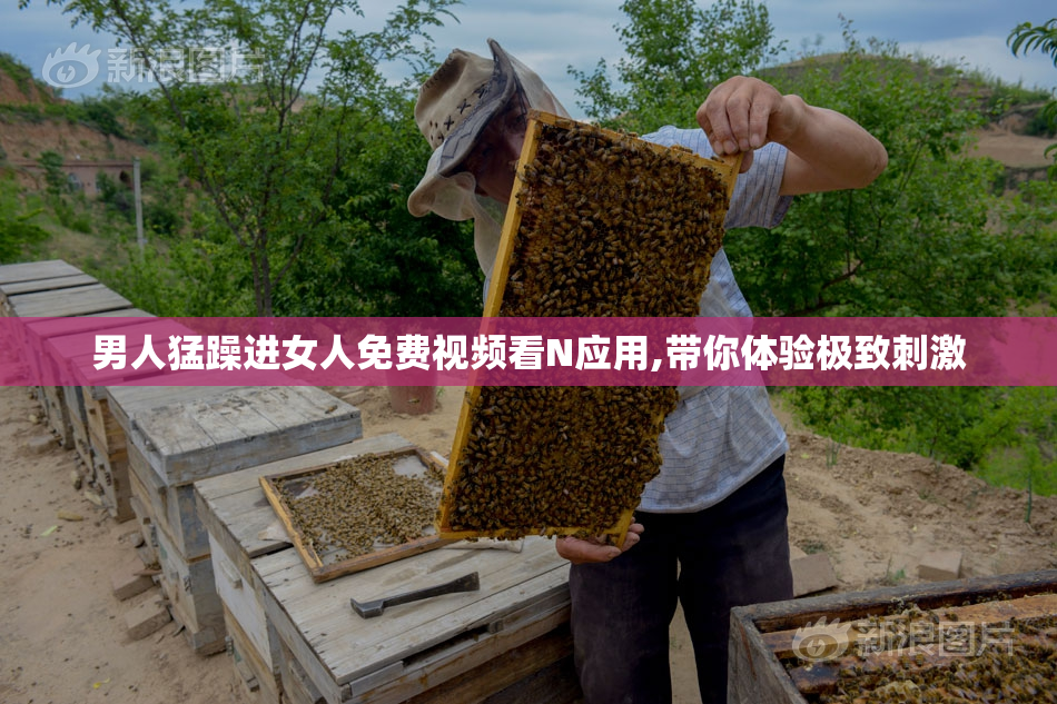 男人猛躁进女人免费视频看N应用,带你体验极致刺激