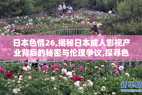 日本色情26,揭秘日本成人影视产业背后的秘密与伦理争议,探寻色情