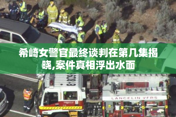 希崎女警官最终谈判在第几集揭晓,案件真相浮出水面