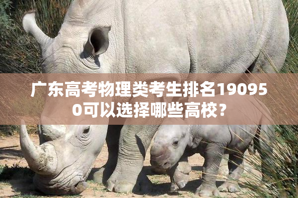 广东高考物理类考生排名190950可以选择哪些高校？
