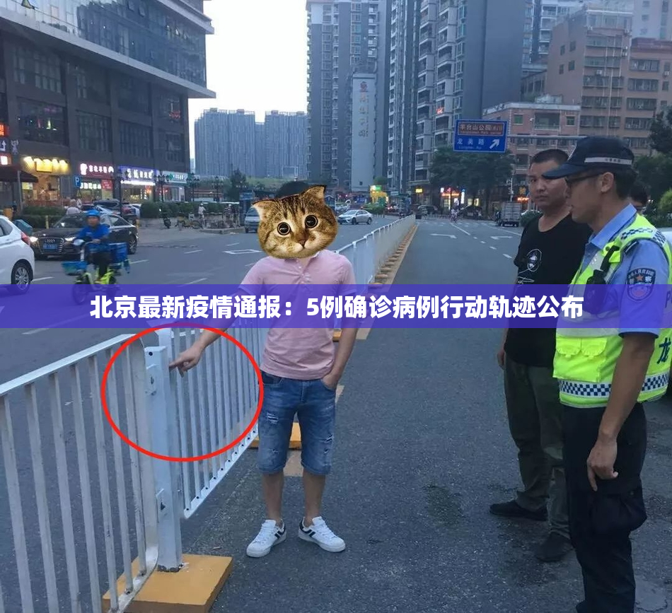 北京最新疫情通报：5例确诊病例行动轨迹公布