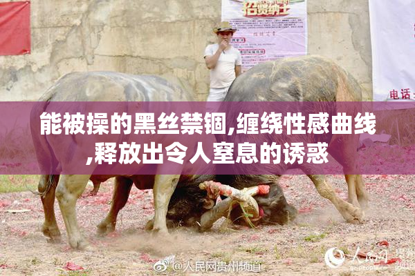 能被操的黑丝禁锢,缠绕性感曲线,释放出令人窒息的诱惑