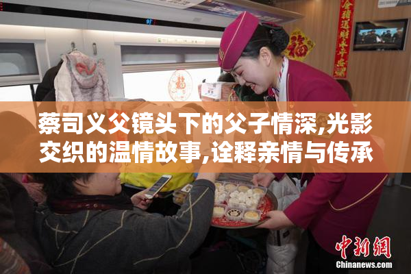 蔡司义父镜头下的父子情深,光影交织的温情故事,诠释亲情与传承