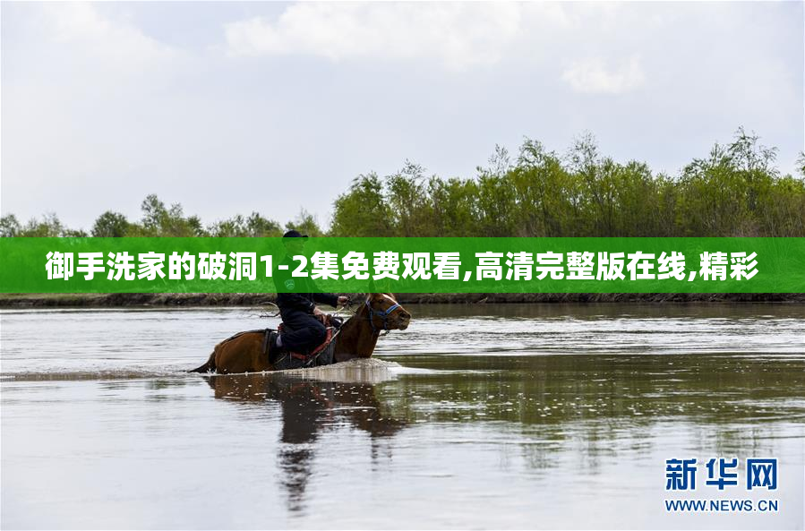 御手洗家的破洞1-2集免费观看,高清完整版在线,精彩
