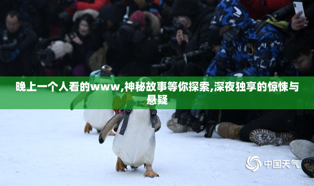 晚上一个人看的www,神秘故事等你探索,深夜独享的惊悚与悬疑